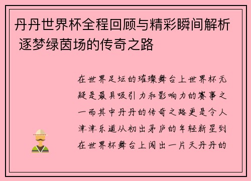 丹丹世界杯全程回顾与精彩瞬间解析 逐梦绿茵场的传奇之路